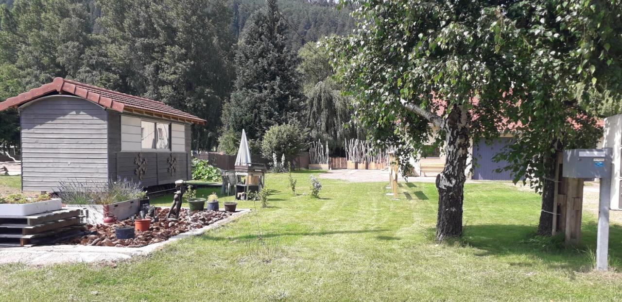Gites, Les Jonquilles, Le Sagard Et Bungalow Les Brimbelles, Nature Et Detente La Houssiere Exterior foto